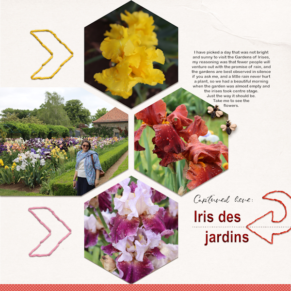 210605_Iris Garden