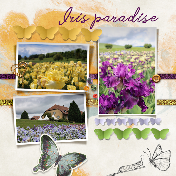 210605_Iris Paradise