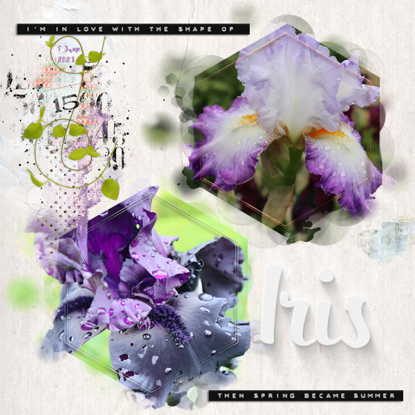 210605_Iris