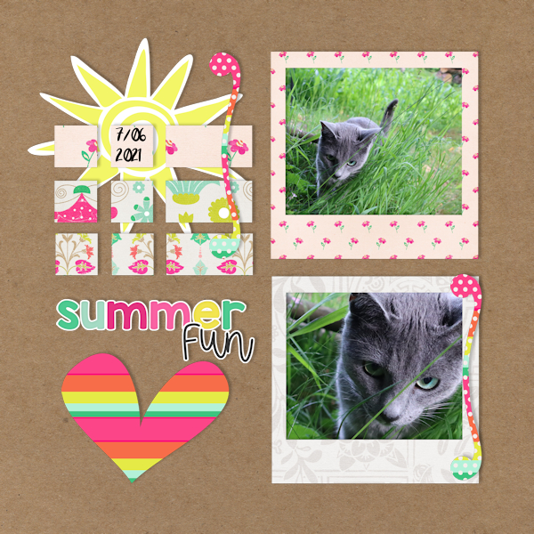 210607_cat Summer-01