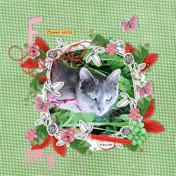 210620_cat Bloom