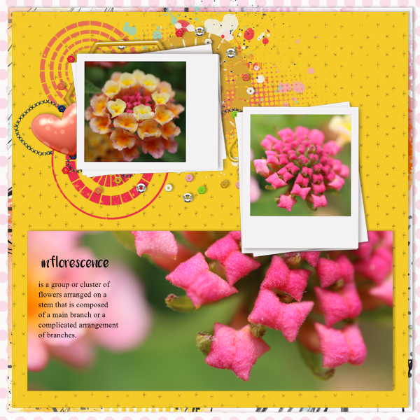 210627_flower