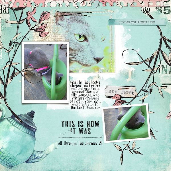 210628_cat Drink