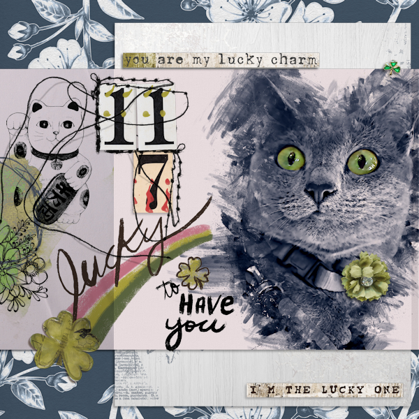 210711_cat Lucky