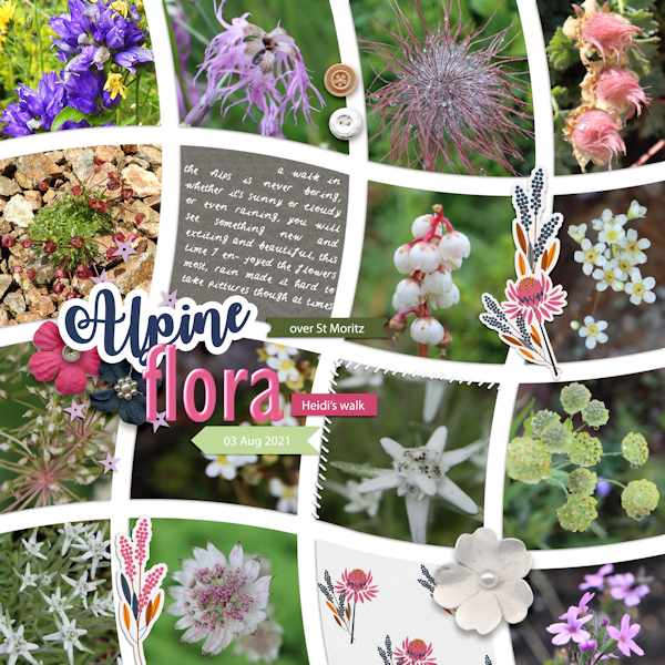 210803_flora Alps
