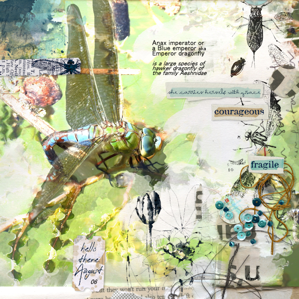 210806_dragonfly