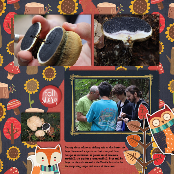 210925_mushroom3