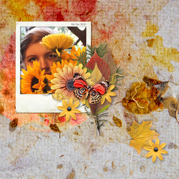 211006_M Sunflowers