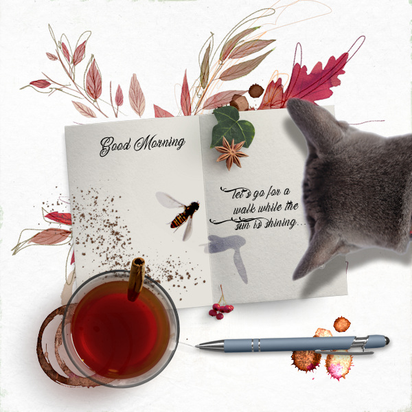 211019_cat Morning