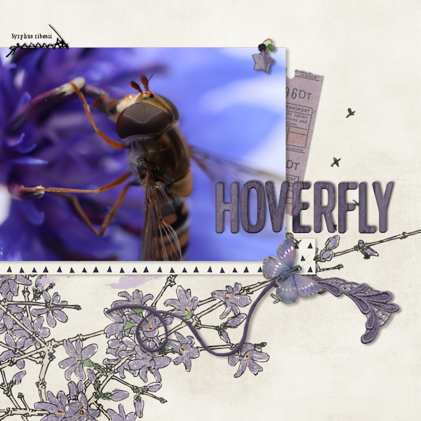 211019_hoverfly