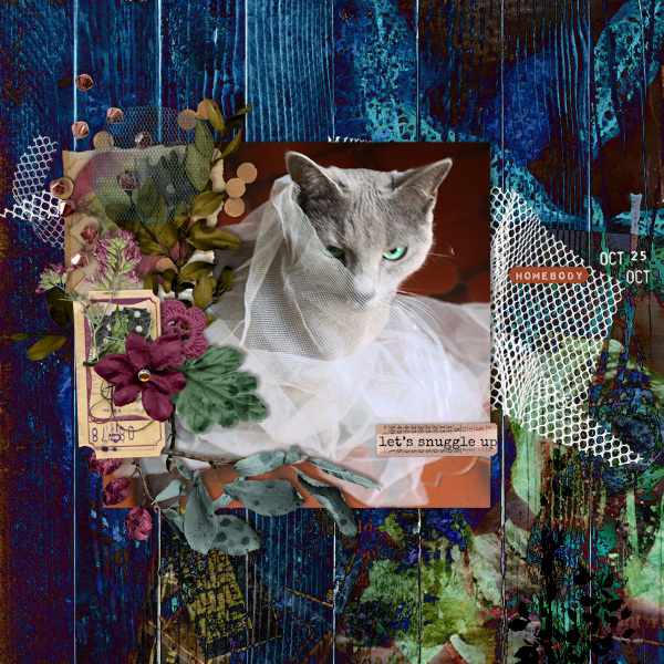 211025_cat Tulle