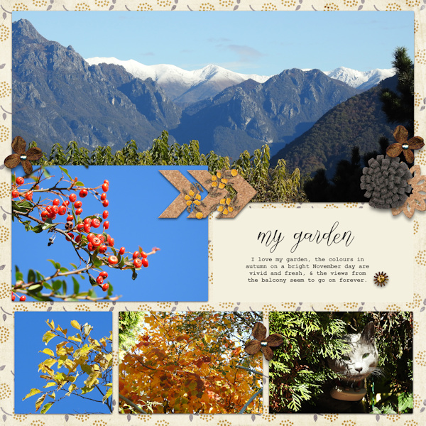 211102_garden