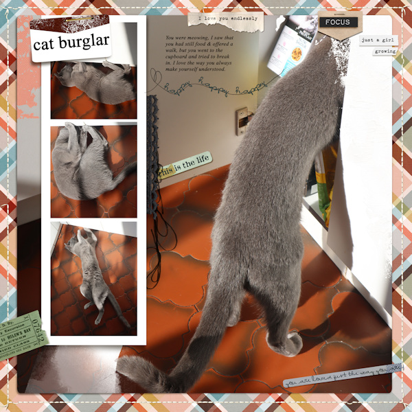 211108_cat Burglar