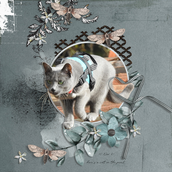 211110_cat Roof