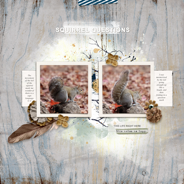 211127_squirrel