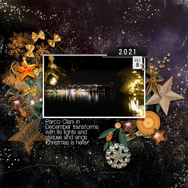 211208_Parco Ciani