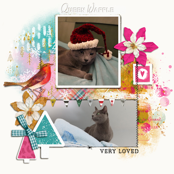 211213_cat