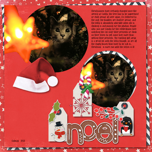 211224_catmass