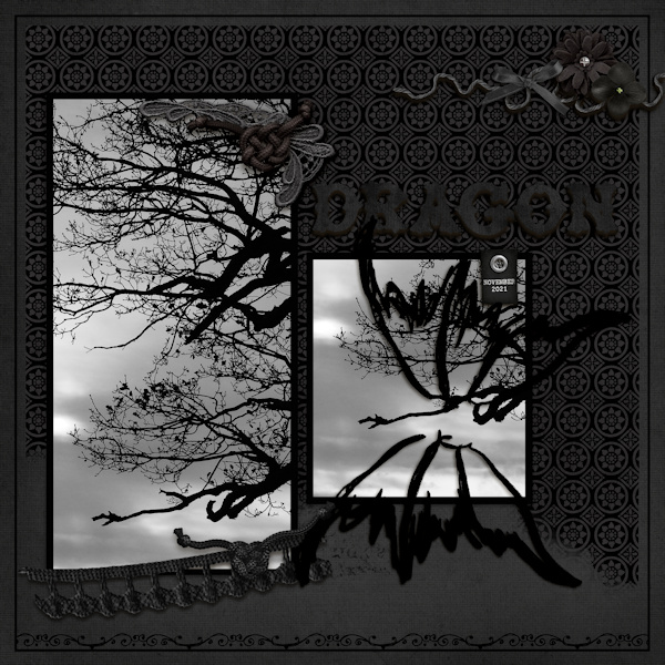 211228_dragon Tree
