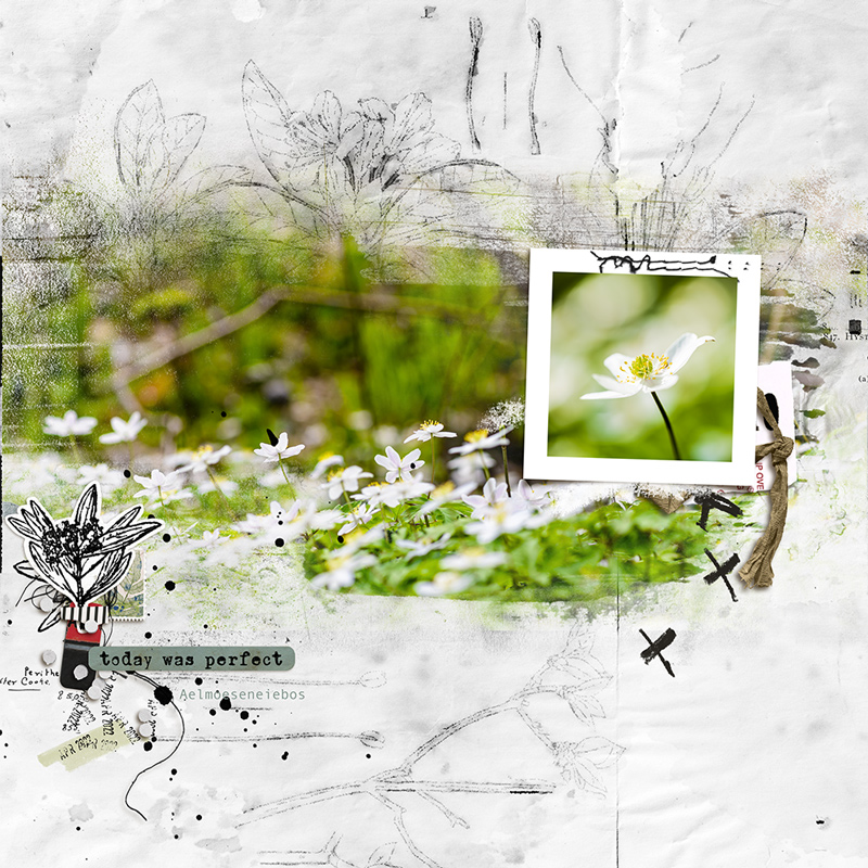 22-04_TLP_April-Photography-Challenge
