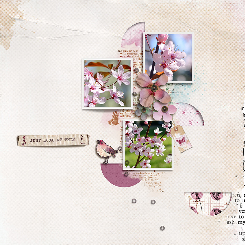 22-04_TLP_April-Template-Challenge