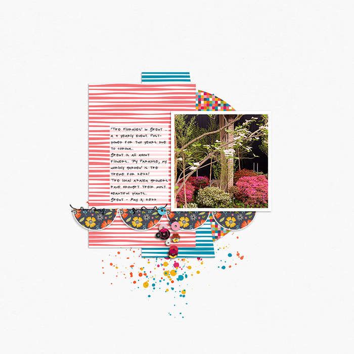 22-05_SwL_MIS