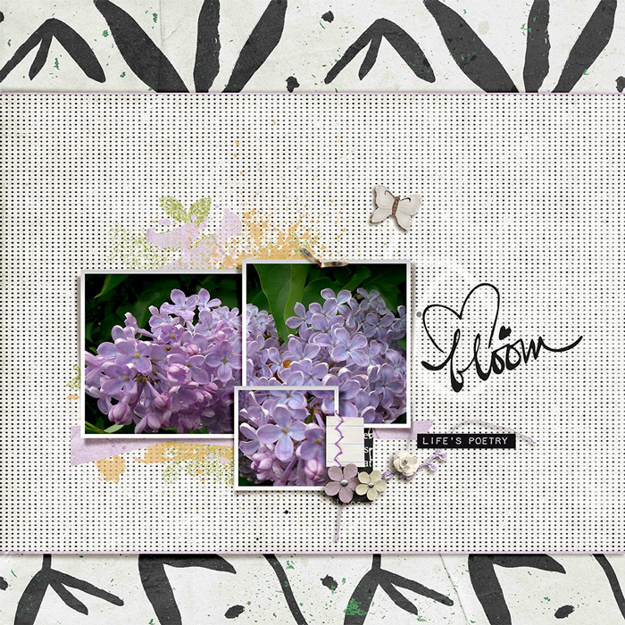 22-05_TLP_May-Inspiration-Challenge-copy