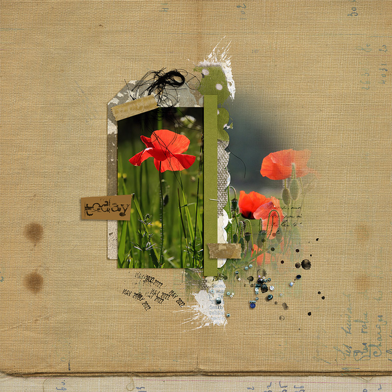 22-06_SwL_MIS-copy