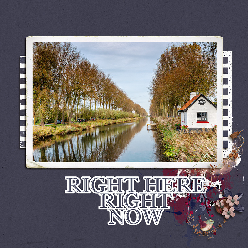 22-10_TLP_October-Photography-Challenge-copy