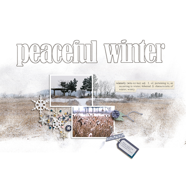 22-11_Peaceful winter