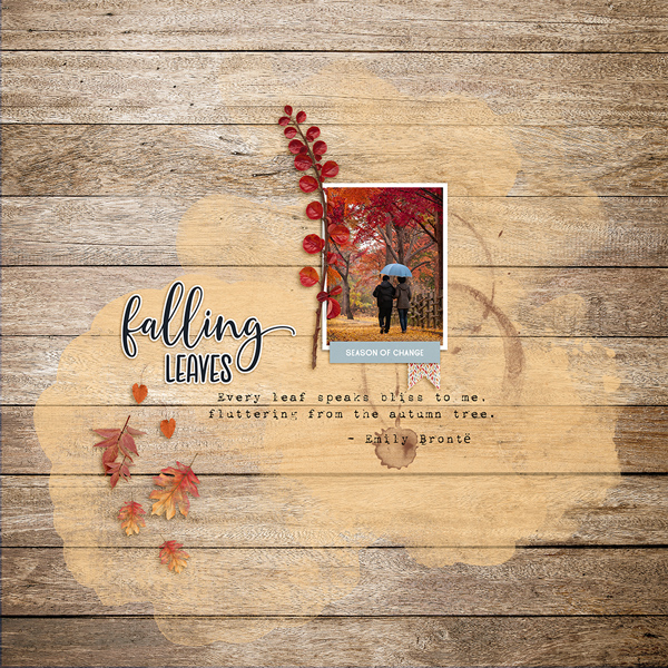 22-11_soco_falling-leaves_fdd_TheBestIsYetToCome