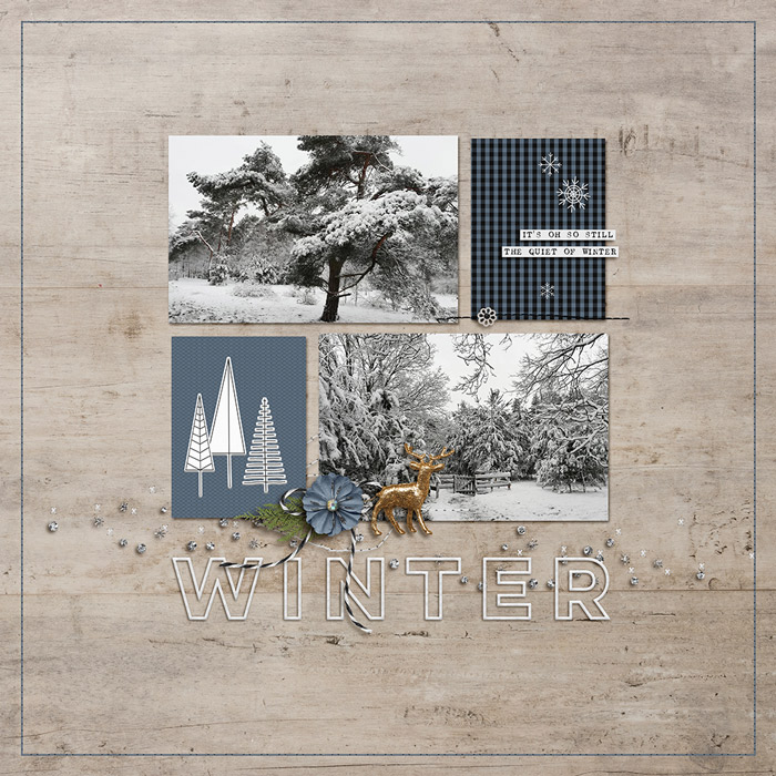 22-11_Winter