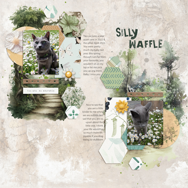 22-2304_waffle Walks