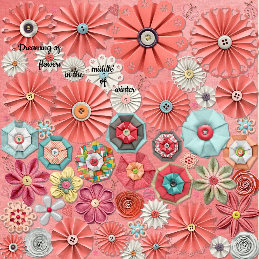 22 Book Cover
