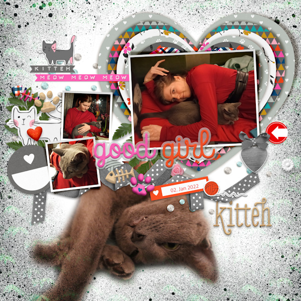 220102_Mcat