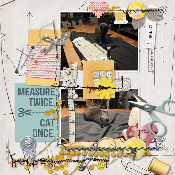220104_sew Cat