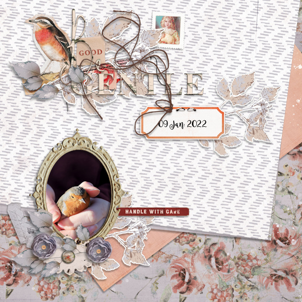 220109_M Gentle