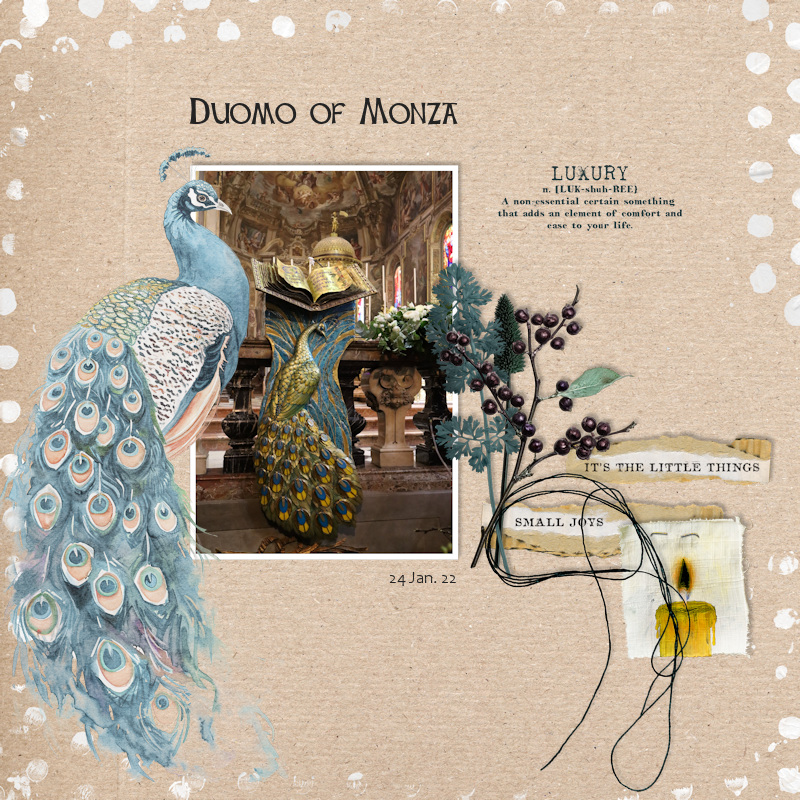 220124_Monza Peacock