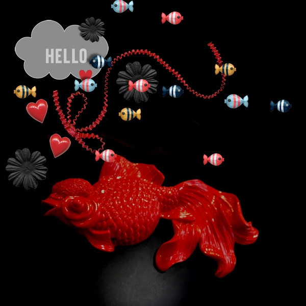 220130_red Fish