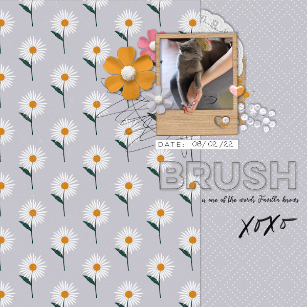 220206_cat Brush