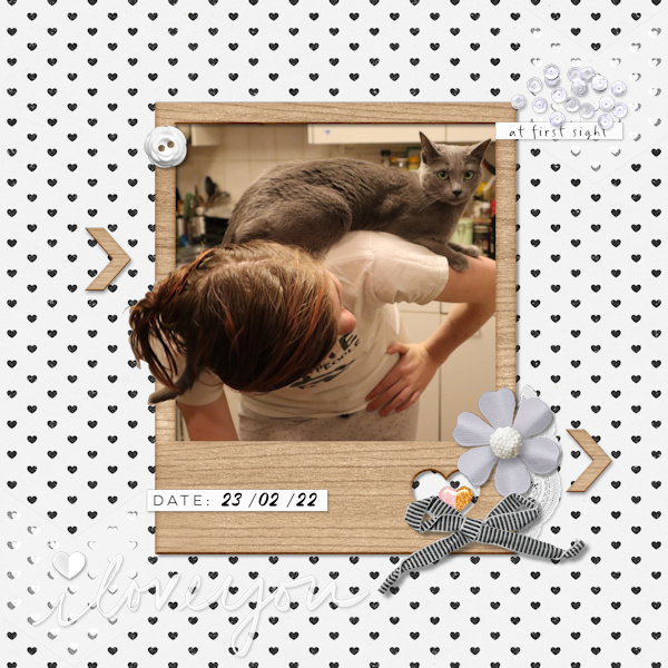 220223_cat Cute