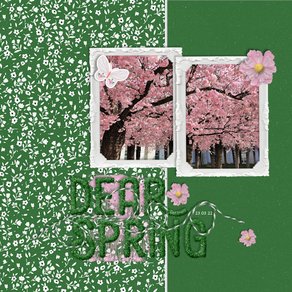 220323_spring
