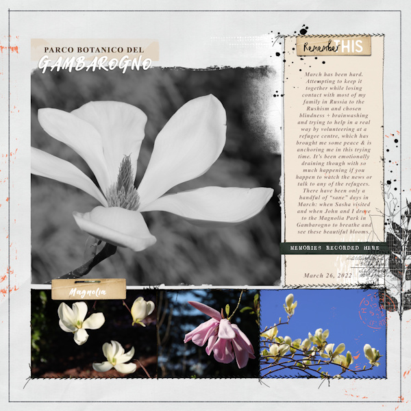 220326_magnolia