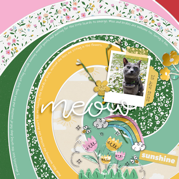 220415_cat Sun