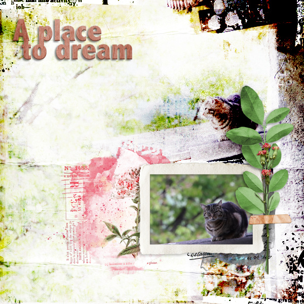220430_cat Dream