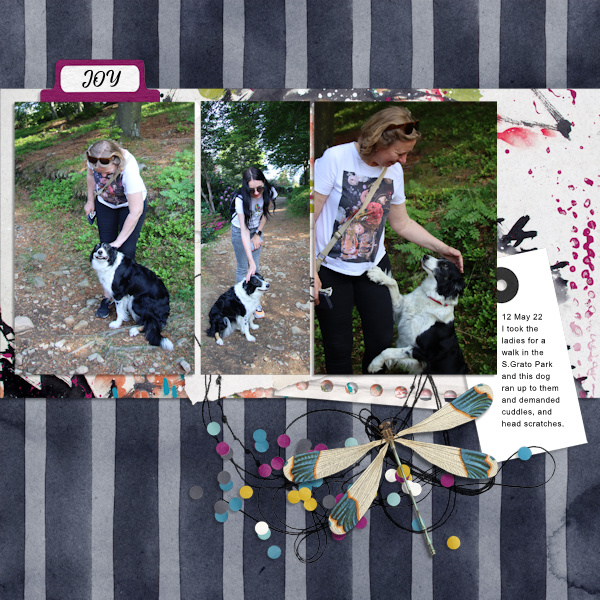220512_dog