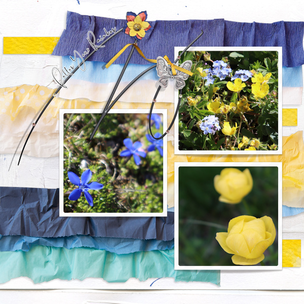 220611_flowers