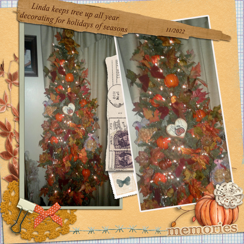 2211_linda_fall_tree