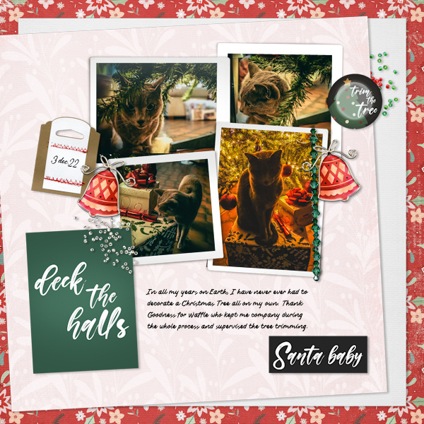 221203_cat Tree