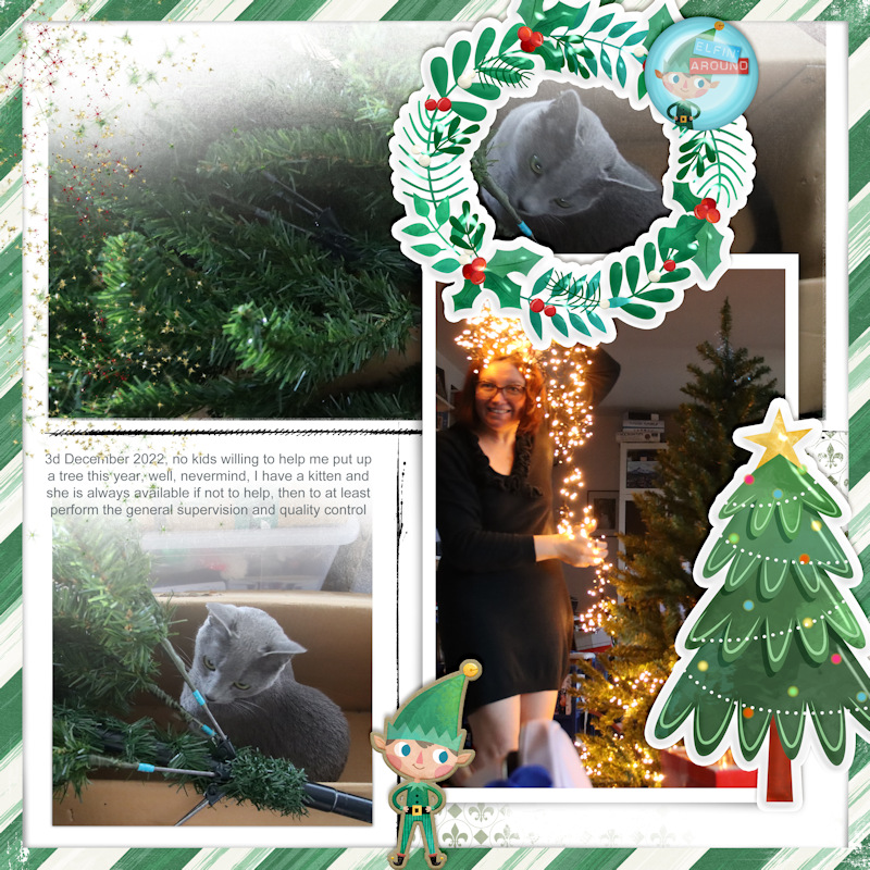 221203_tree